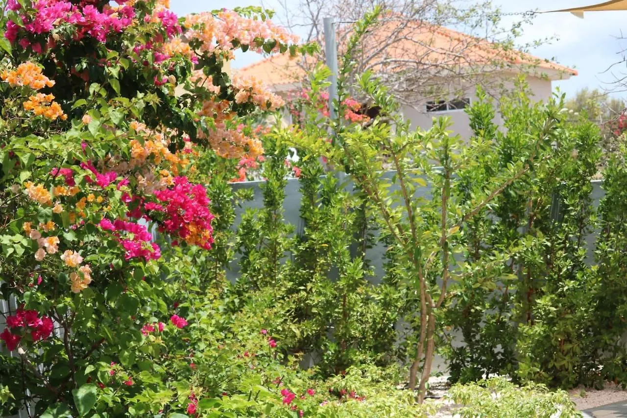 Kas Trupial Villa Willemstad