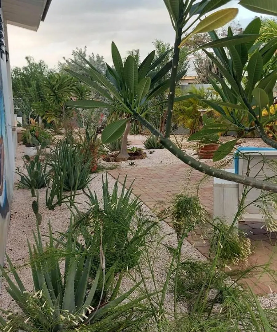 Kas Trupial Villa Willemstad
